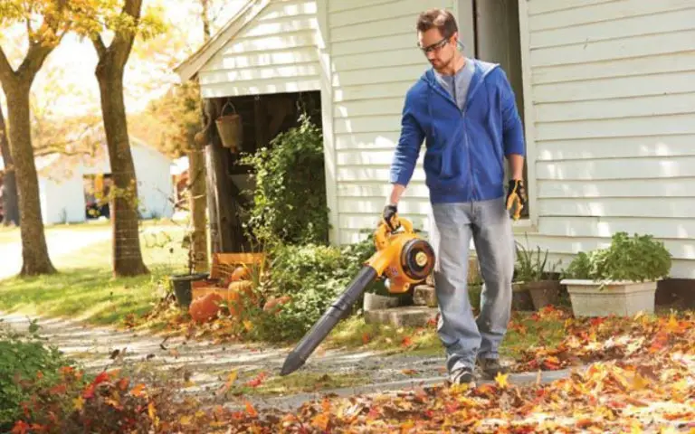 batteries-for-leaf-blowers-how-to-care-for-your-leaf-blower-batteries