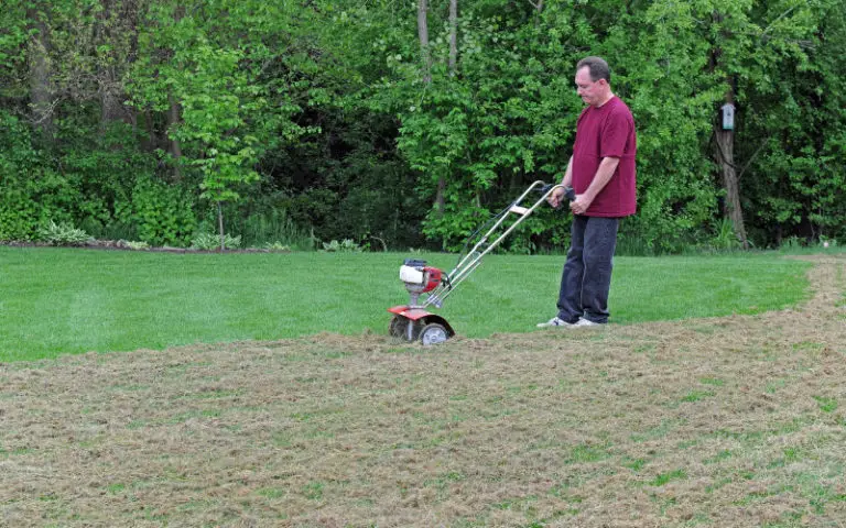 Pros And Cons Of Dethatching Lawn Best Guide You Need Backyard Caring