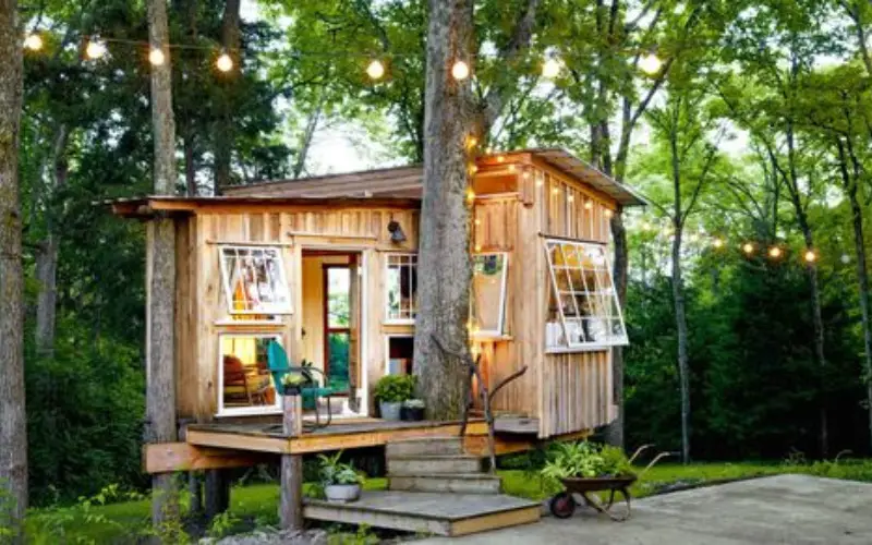 Coolest Treehouse Ideas