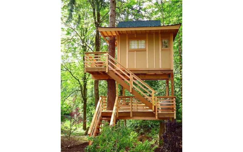 Coolest Treehouse Ideas