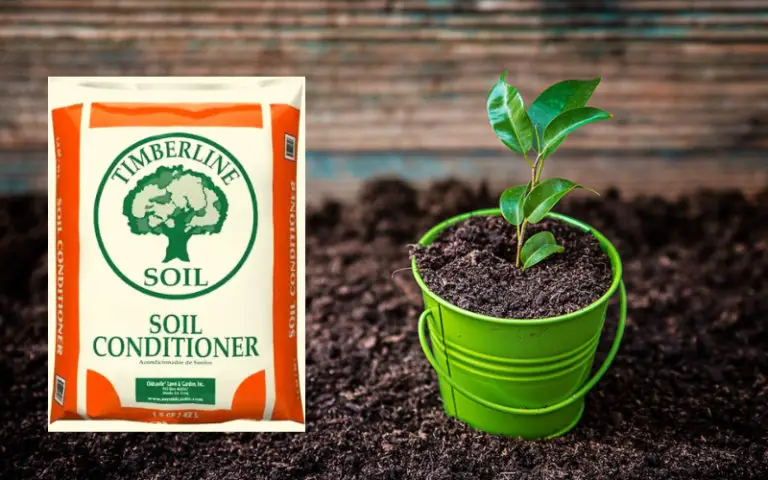 what-does-soil-conditioner-do-how-to-use-it-backyard-caring